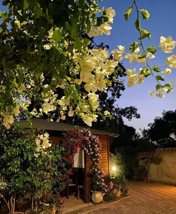 B&B Il Girasole ซานต์อันนาอาเรซี ภายนอก รูปภาพ