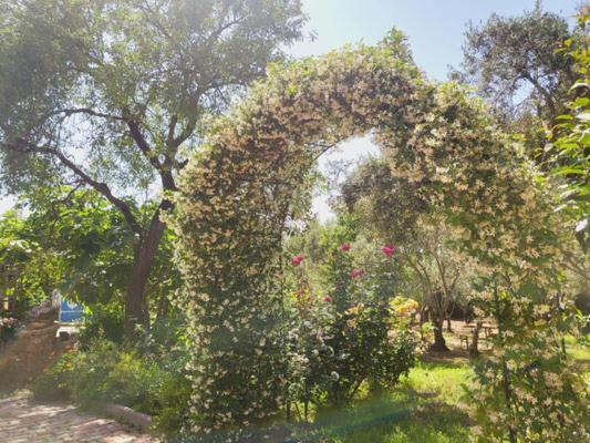 B&B Il Girasole ซานต์อันนาอาเรซี ภายนอก รูปภาพ